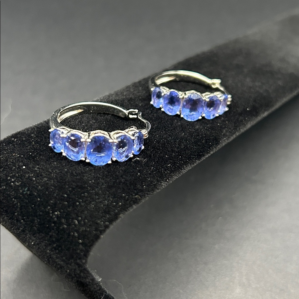 Hoop Earrings - Picture 4 of 9